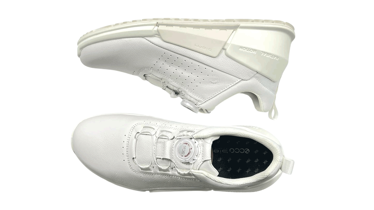 کفش اکو مردانه80087401001 Ecco BIOM 2.0 Boa