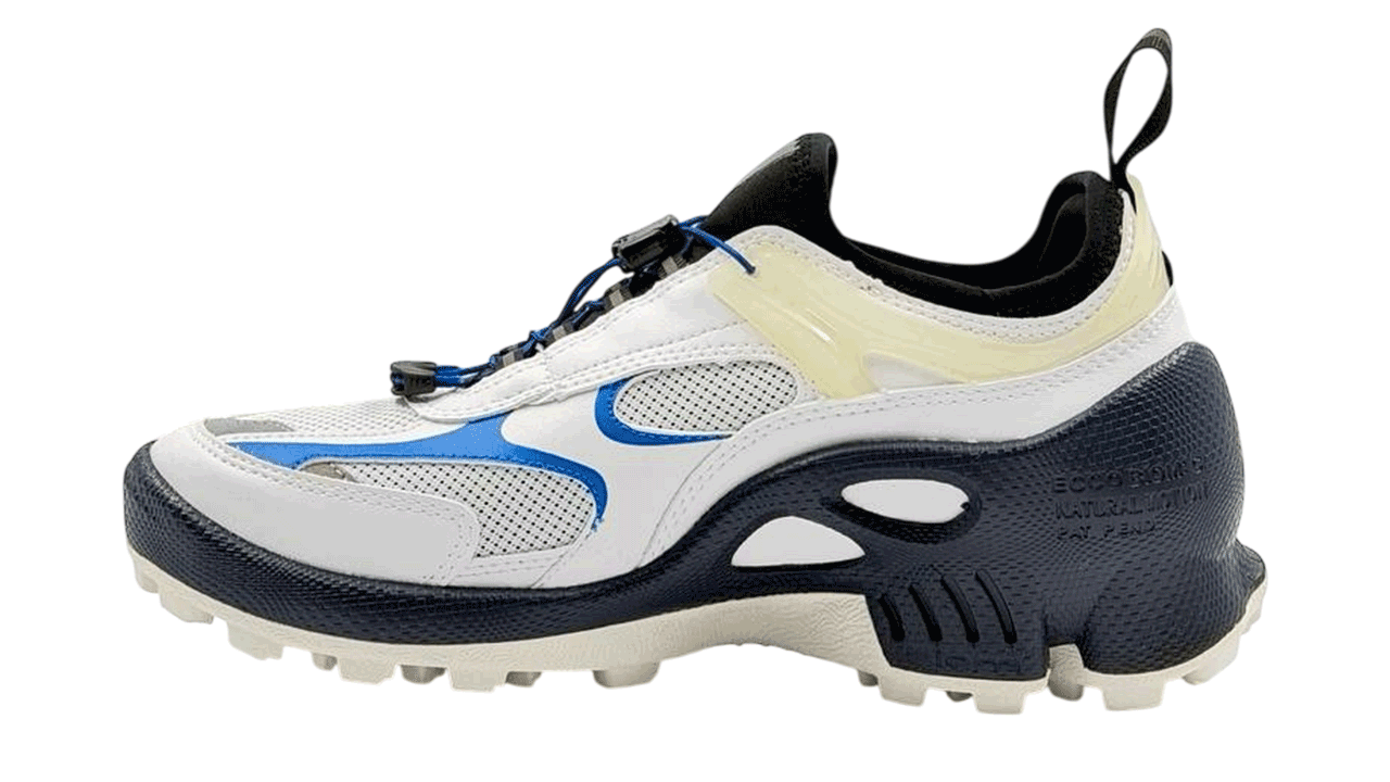 کفش اکو مردانه Ecco Biom C Trail Low Top 803384