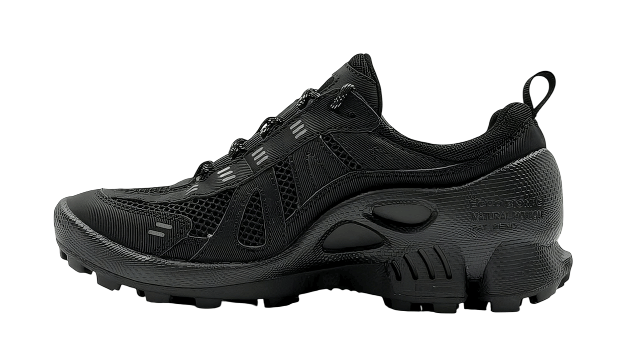 کفش اکو مردانه Ecco Biom C Trail 803224