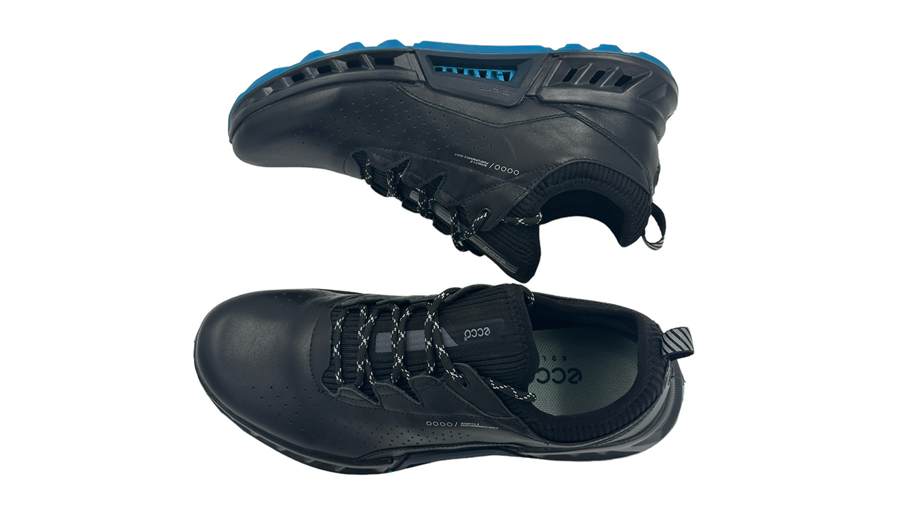 Ecco M Golf Biom C4