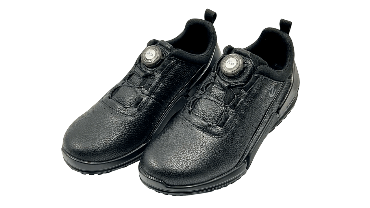 کفش اکو مردانه80087401001 ECCO BIOM 2.0 Boa