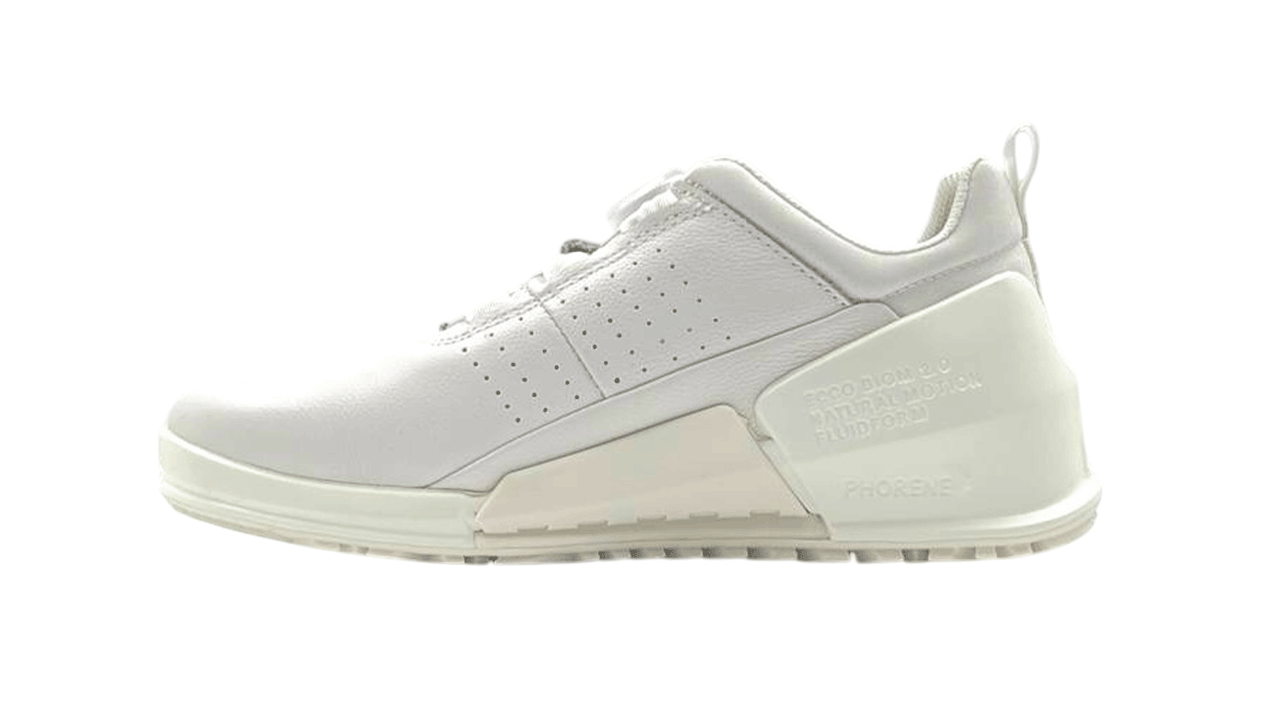 کفش اکو مردانه80087401001 Ecco BIOM 2.0 Boa