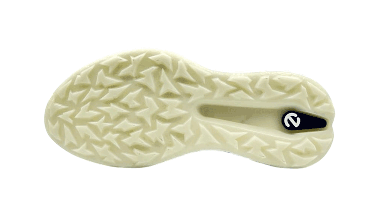 کفش اکو مردانه 13800412287 ECCO M GOLF BIOM H5