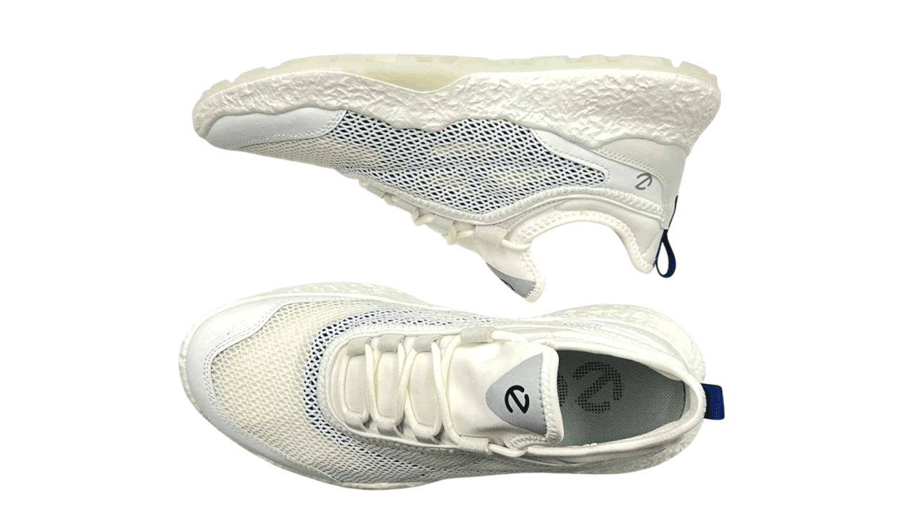 کفش اکو مردانه 13800412287 ECCO M GOLF BIOM H5