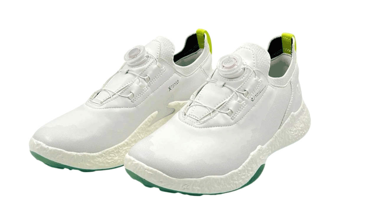 کفش اکو مردانه 13802401001 ECCO M GOLF BIOM H5 Boa