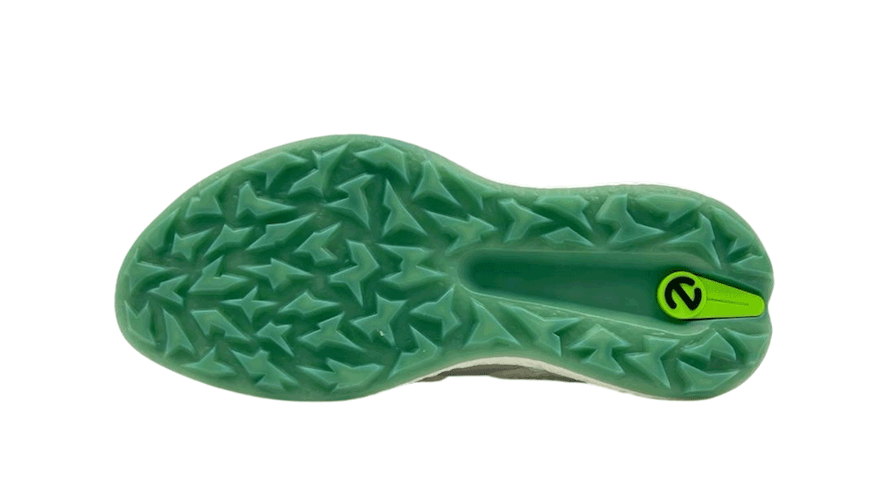 کفش اکو مردانه 13802401001 ECCO M GOLF BIOM H5 Boa