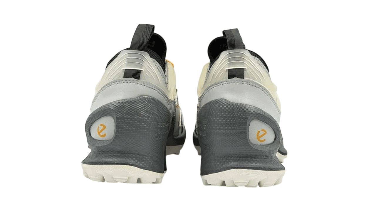 کفش اکو مردانه Ecco Biom C Trail Low Top 803384