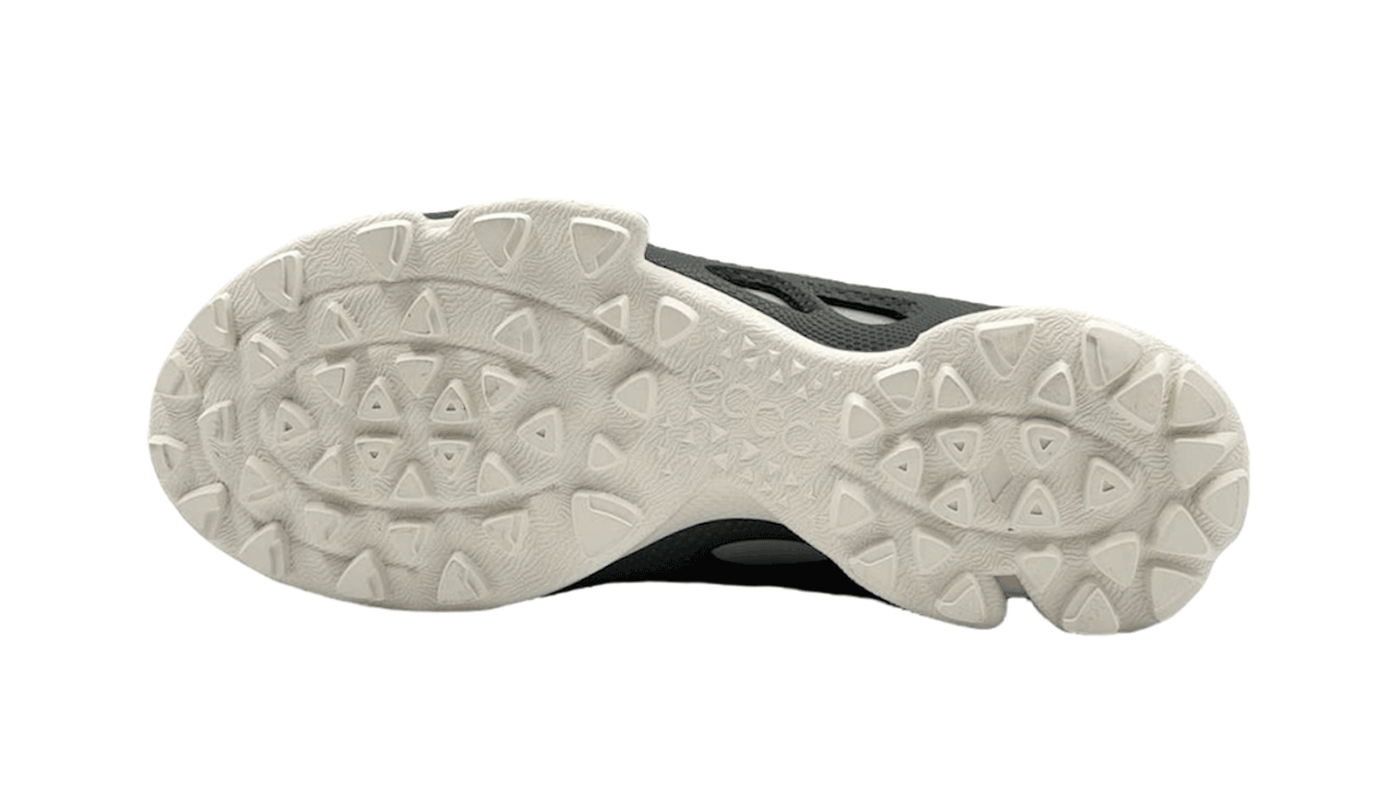 کفش اکو مردانه Ecco Biom C Trail Low Top 803384