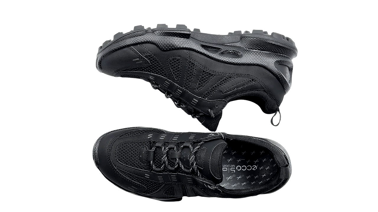 کفش اکو مردانه Ecco Biom C Trail 803224